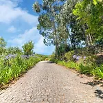 Forest Hideaway Near Douro Valley Vakantiehuis Quintela (Vinhais)