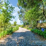 Vakantiehuis Forest Hideaway Near Douro Valley Quintela (Vinhais)