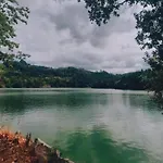 Forest Hideaway Near Douro Valley Vakantiehuis