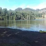 Vakantiehuis Forest Hideaway Near Douro Valley *