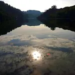 Vakantiehuis Forest Hideaway Near Douro Valley *