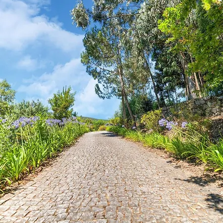 Forest Hideaway Near Douro Valley Holiday home Quintela