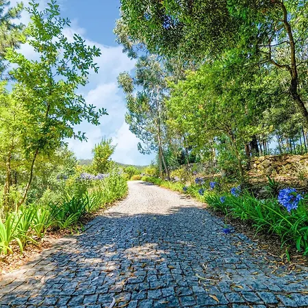 Holiday home Forest Hideaway Near Douro Valley Quintela