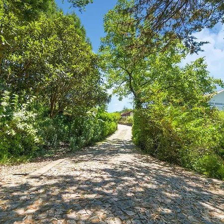 Forest Hideaway Near Douro Valley Quintela