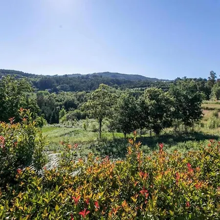 Nyaraló Forest Hideaway Near Douro Valley *