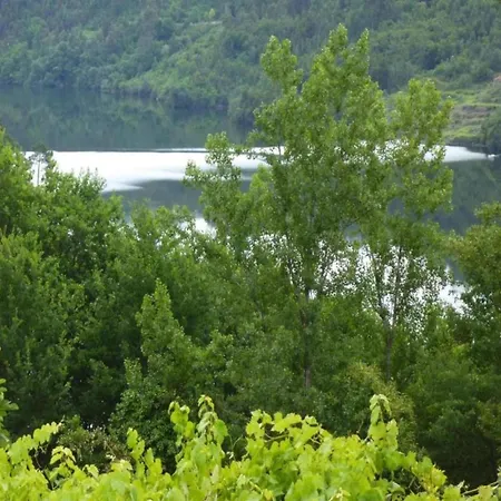 Nyaraló Forest Hideaway Near Douro Valley Quintela