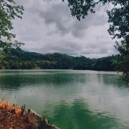 Forest Hideaway Near Douro Valley Holiday home