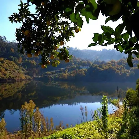 Holiday home Forest Hideaway Near Douro Valley *
